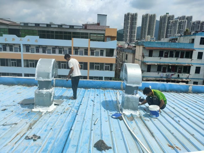 老城钢结构屋面涂料维修方法