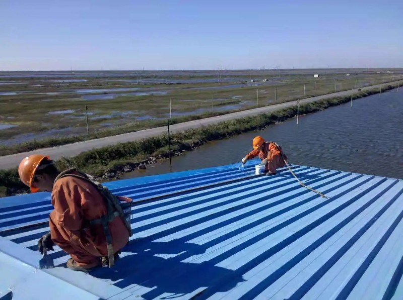 老城钢结构屋面漏水原因